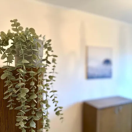 Mmrent Przytulny W Sopocie * סופוט